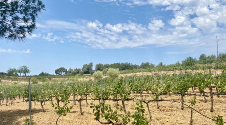Comunidad de Madrid - El Molar - 830000m2