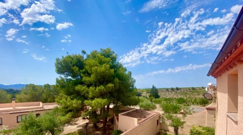 Comunidad de Madrid - El Molar - 830000m2