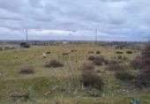 Parcela urbanizable en venta en la España, Segovia, ref: TR287294 foto
