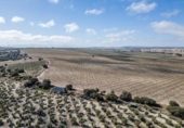 Non-developable land for sale on España, Alamedilla, ref: TR369985 photo