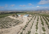 Non-developable land for sale on España, Alamedilla, ref: TR369985 photo