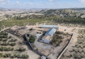 Non-developable land for sale on España, Alamedilla, ref: TR369985 photo
