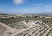 Non-developable land for sale on España, Alamedilla, ref: TR369985 photo