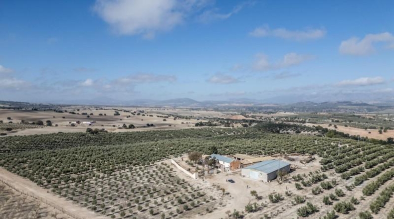 Granada - Alamedilla - 2230000m2