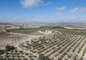 Non-developable land for sale on España, Alamedilla, ref: TR369985 photo