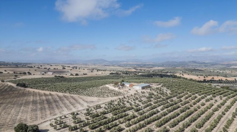 Granada - Alamedilla - 2230000m2