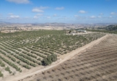 Non-developable land for sale on España, Alamedilla, ref: TR369985 photo