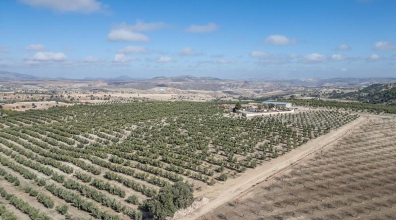 Granada - Alamedilla - 2230000m2