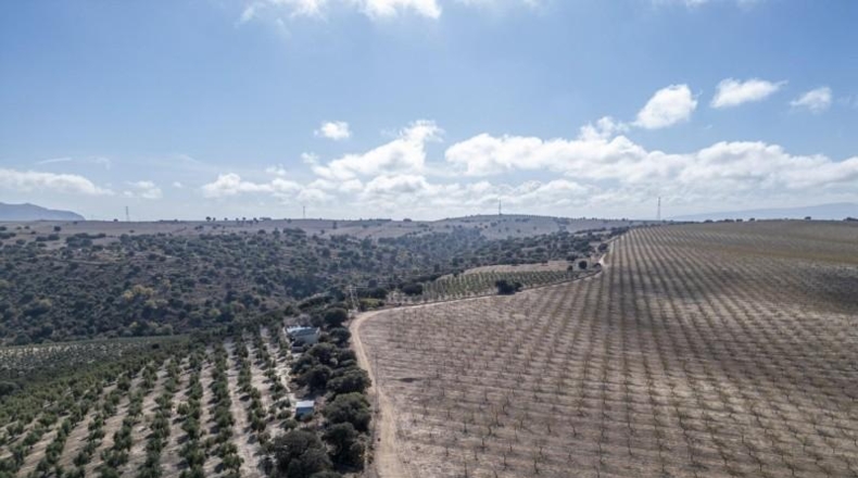 Granada - Alamedilla - 2230000m2