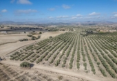 Non-developable land for sale on España, Alamedilla, ref: TR369985 photo