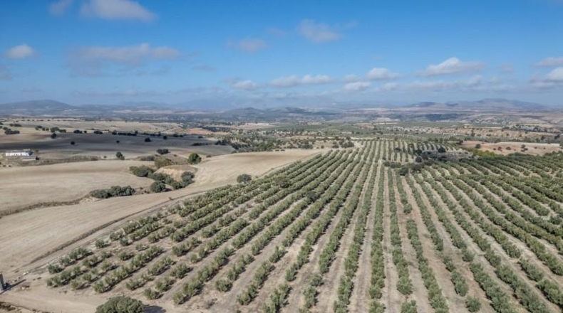 Granada - Alamedilla - 2230000m2