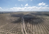 Non-developable land for sale on España, Alamedilla, ref: TR369985 photo