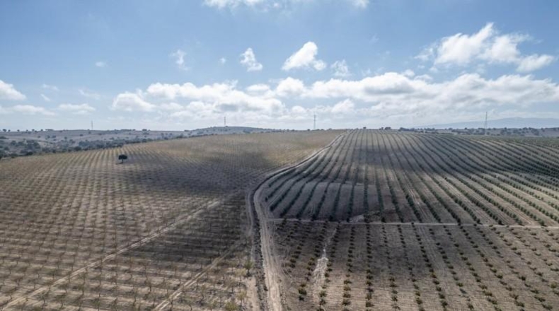 Granada - Alamedilla - 2230000m2
