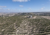 Non-developable land for sale on España, Alamedilla, ref: TR369985 photo