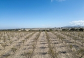 Non-developable land for sale on España, Alamedilla, ref: TR369985 photo
