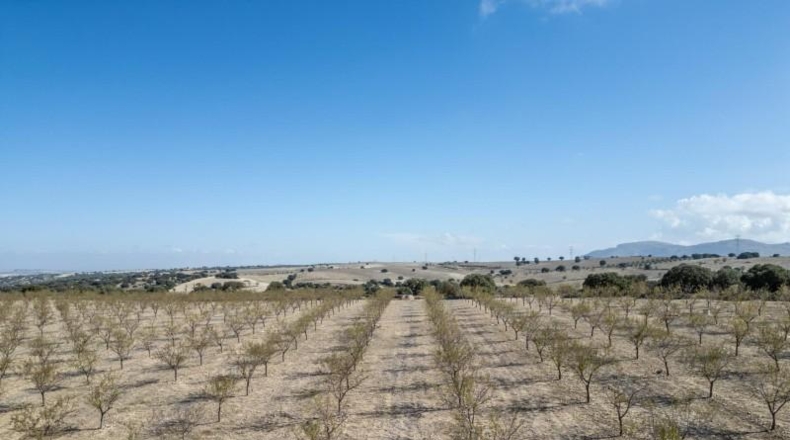 Granada - Alamedilla - 2230000m2