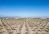 Non-developable land for sale on España, Alamedilla, ref: TR369985 photo