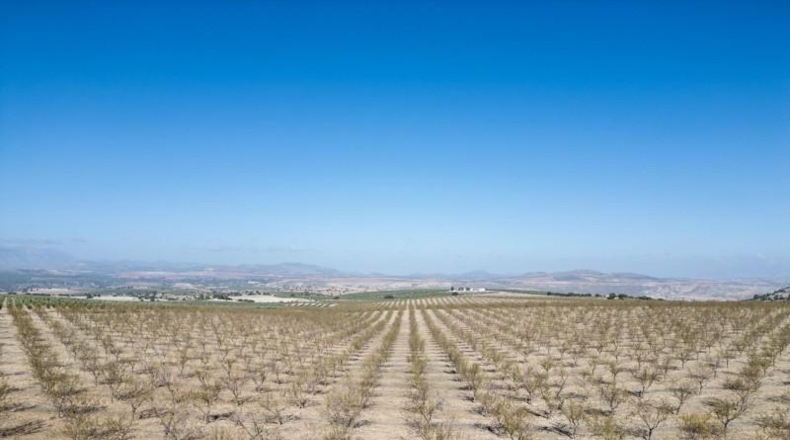 Granada - Alamedilla - 2230000m2