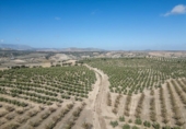 Non-developable land for sale on España, Alamedilla, ref: TR369985 photo