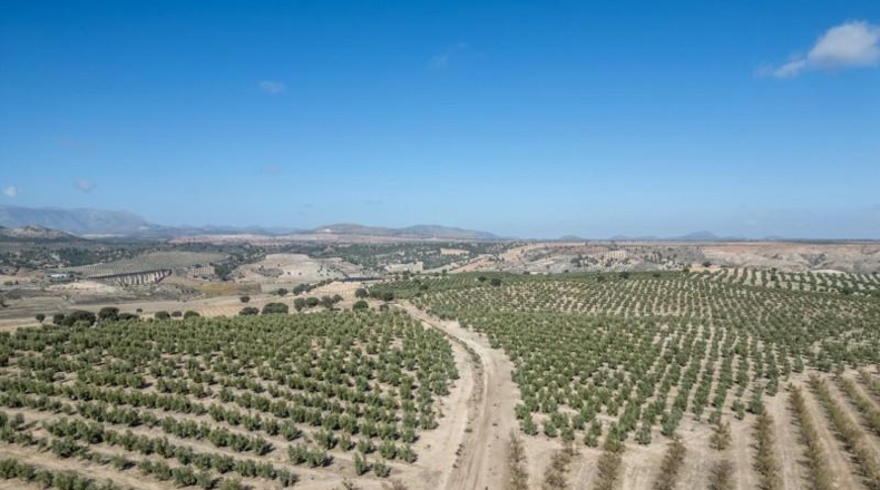 Granada - Alamedilla - 2230000m2