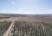 Non-developable land for sale on España, Alamedilla, ref: TR369985 photo
