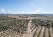 Non-developable land for sale on España, Alamedilla, ref: TR369985 photo