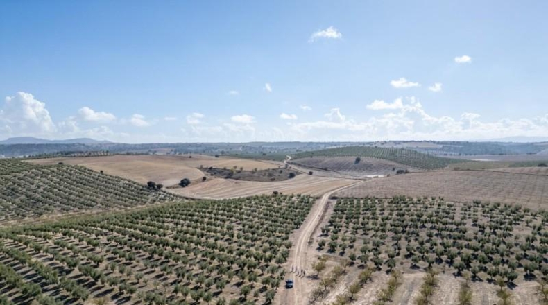 Granada - Alamedilla - 2230000m2