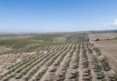 Non-developable land for sale on España, Alamedilla, ref: TR369985 photo