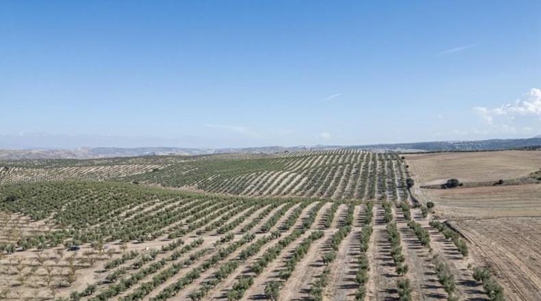 Granada - Alamedilla - 2230000m2
