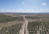 Non-developable land for sale on España, Alamedilla, ref: TR369985 photo
