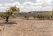 Non-developable land for sale on España, Alamedilla, ref: TR369985 photo