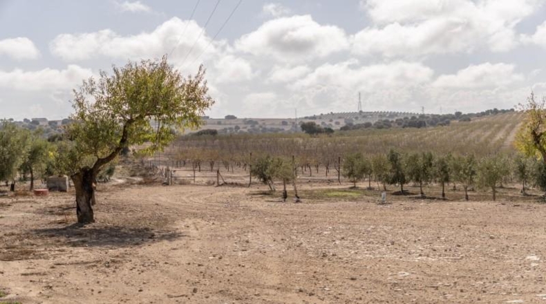 Granada - Alamedilla - 2230000m2