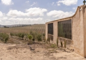 Non-developable land for sale on España, Alamedilla, ref: TR369985 photo