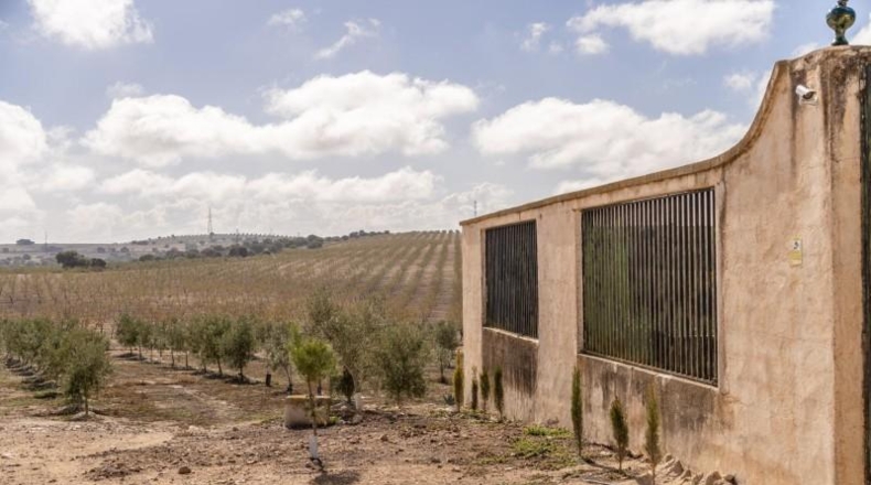 Granada - Alamedilla - 2230000m2