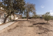 Non-developable land for sale on España, Alamedilla, ref: TR369985 photo