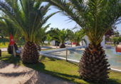 Casa de camp amb terreny en venda a la España, Ciutadella de Menorca, ref.: TR139995 foto