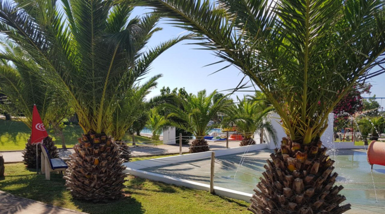 Islas Baleares - Ciutadella - 87925m2