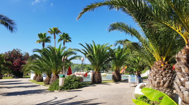 Islas Baleares - Ciutadella - 87925m2