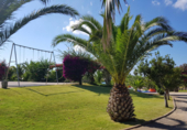 Casa de camp amb terreny en venda a la España, Ciutadella de Menorca, ref.: TR139995 foto
