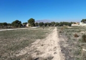 Parcel·la urbanitzable en venda a la España, Montfort, ref.: TR326336 foto