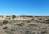 Parcel·la urbanitzable en venda a la España, Montfort, ref.: TR326336 foto