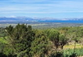 Xalet independent amb terreny en venda a la España, Sant Llorenç des Cardassar, ref.: TR318424 foto