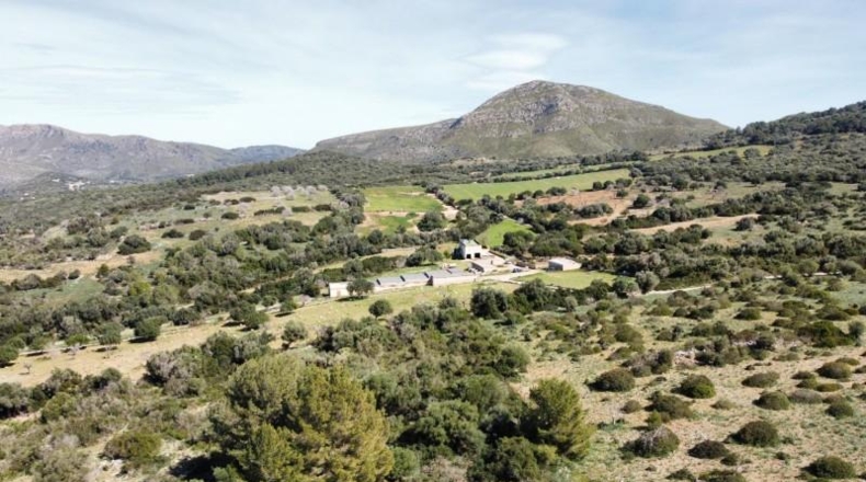 Балеарские острова - San Lorenzo del Cardessar - 1200000m2