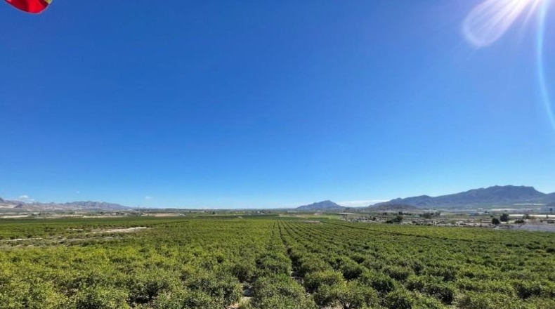 Murcia - Murcia - 421579m2
