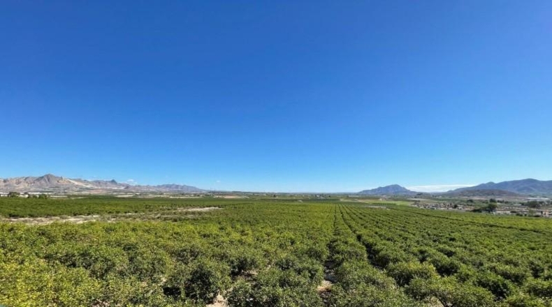 Murcia - Murcia - 421579m2