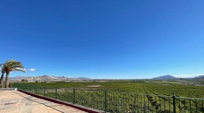 Murcia - Murcia - 421579m2