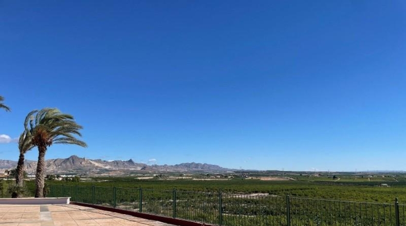 Murcia - Murcia - 421579m2