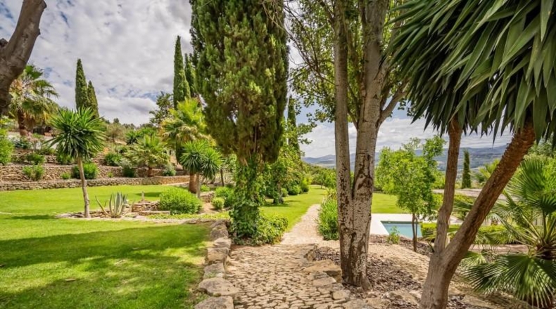Málaga - Ronda - 50000m2
