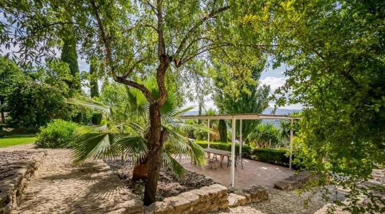 Málaga - Ronda - 50000m2