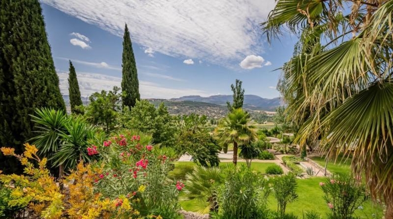 Málaga - Ronda - 50000m2